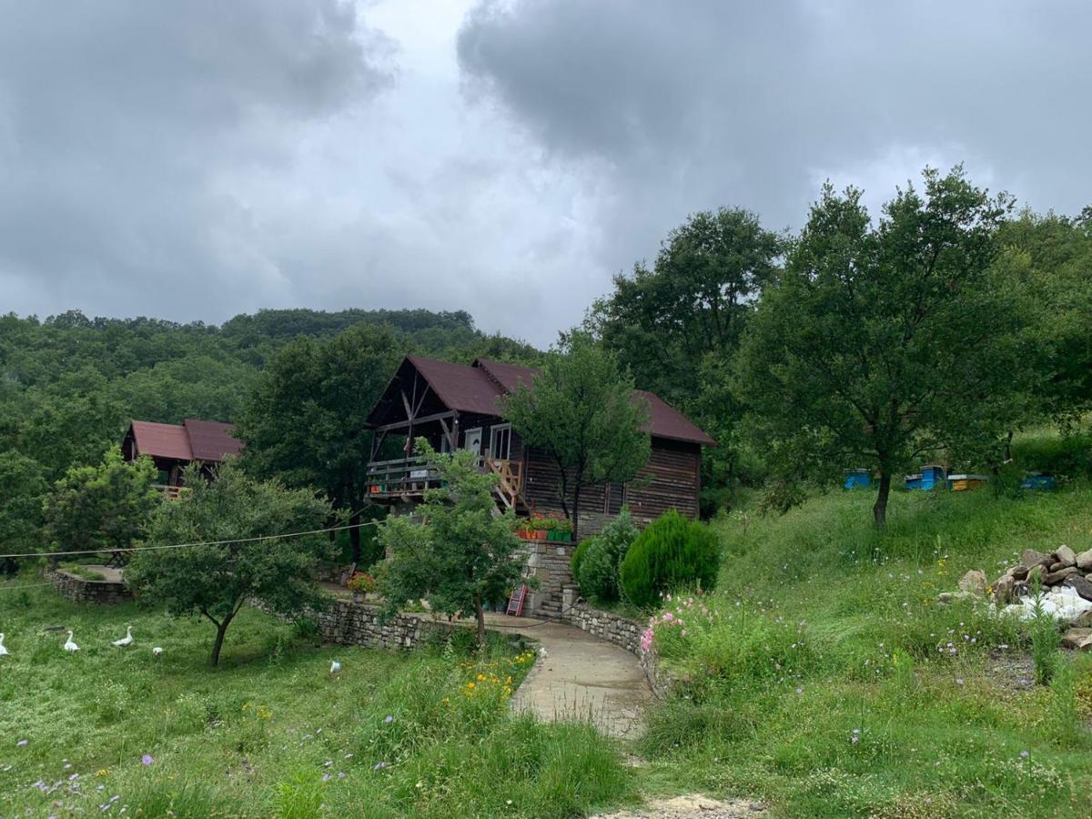 Origjina Farm Vila Përmet Exterior foto