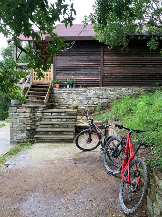 Origjina Farm Vila Përmet Exterior foto